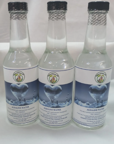 ALKALINE WATER 10 FL OZ BOTTLES ( CASE OF 12)