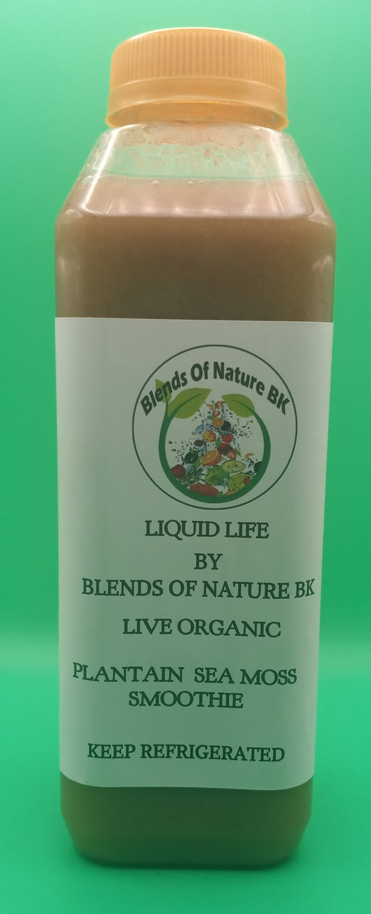 Organic Plantain Sea Moss Smoothie 16 oz 4 Pack